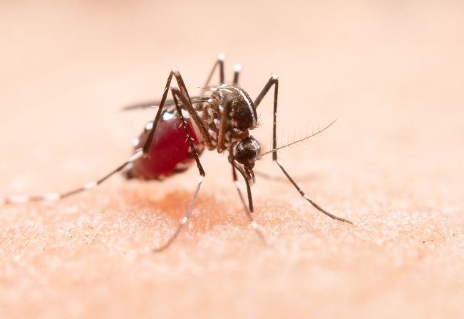 Prefeitura de Agudos alerta sobre cuidados contra o mosquito da dengue