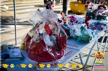 Foto - Primeira Cãominhada