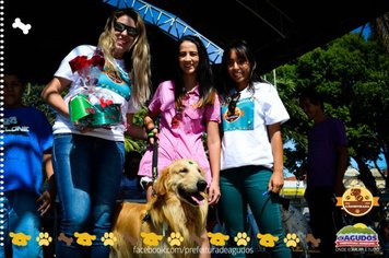 Foto - Primeira Cãominhada