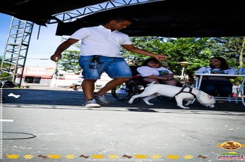 Foto - Primeira Cãominhada