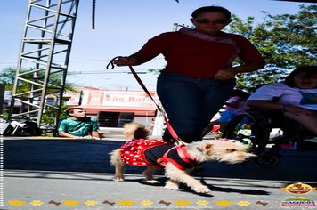 Foto - Primeira Cãominhada