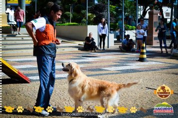 Foto - Primeira Cãominhada