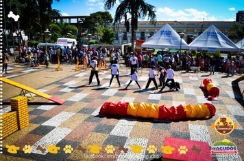 Foto - Primeira Cãominhada