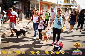 Foto - Primeira Cãominhada
