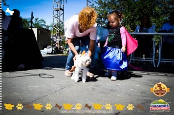 Foto - Primeira Cãominhada