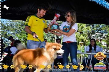 Foto - Primeira Cãominhada