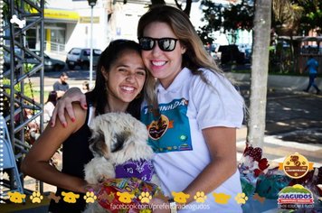Foto - Primeira Cãominhada