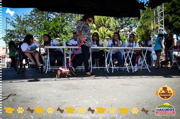 Foto - Primeira Cãominhada