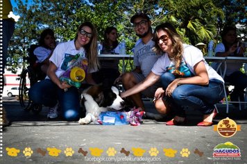 Foto - Primeira Cãominhada