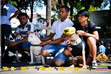 Foto - Primeira Cãominhada