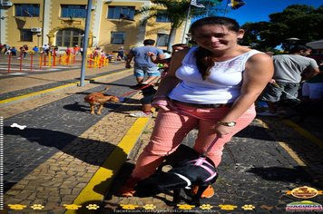 Foto - Primeira Cãominhada