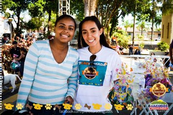 Foto - Primeira Cãominhada