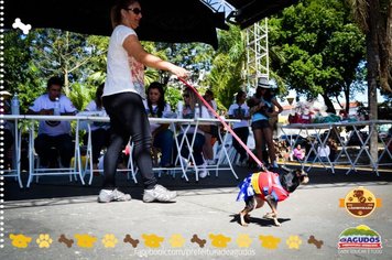Foto - Primeira Cãominhada