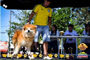 Foto - Primeira Cãominhada