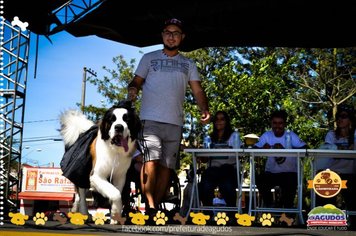 Foto - Primeira Cãominhada