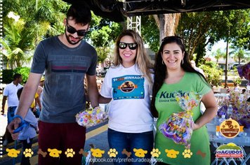 Foto - Primeira Cãominhada