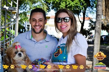 Foto - Primeira Cãominhada