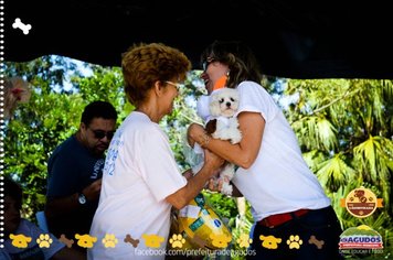 Foto - Primeira Cãominhada