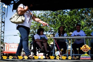 Foto - Primeira Cãominhada
