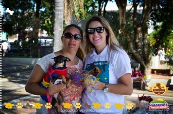Foto - Primeira Cãominhada