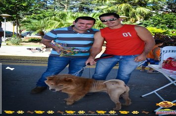 Foto - Primeira Cãominhada
