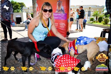 Foto - Primeira Cãominhada