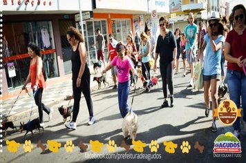 Foto - Primeira Cãominhada