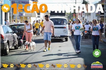 Foto - Primeira Cãominhada