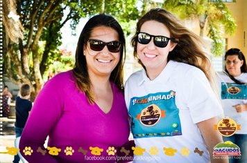 Foto - Primeira Cãominhada