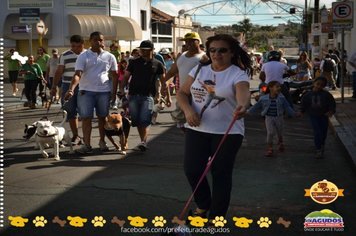 Foto - Primeira Cãominhada