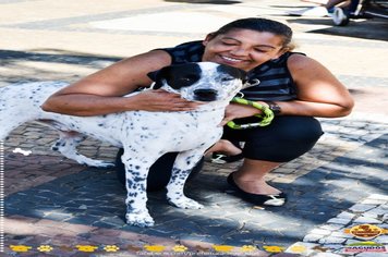 Foto - Primeira Cãominhada