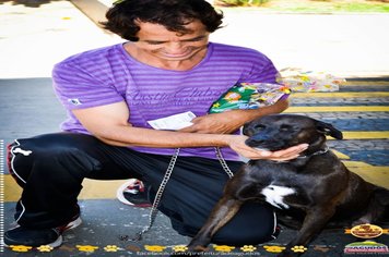 Foto - Primeira Cãominhada