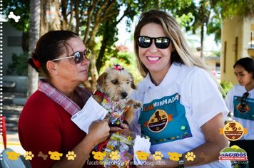 Foto - Primeira Cãominhada