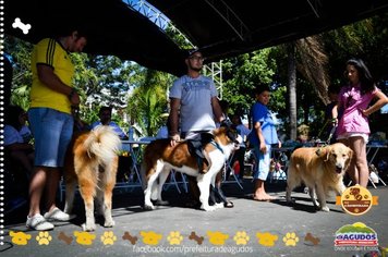 Foto - Primeira Cãominhada