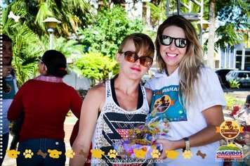 Foto - Primeira Cãominhada