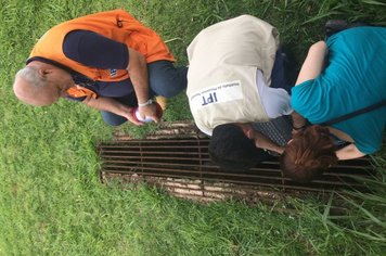 Foto - IPT faz trabalho pioneiro em Agudos com testes de Carro Robô para trabalho preventivo da Defesa Civil