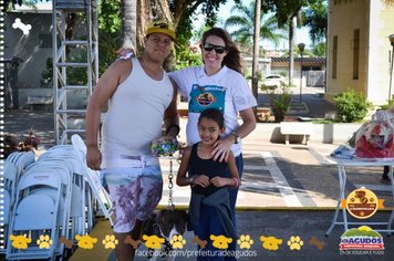 Foto - Primeira Cãominhada