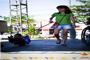 Foto - Primeira Cãominhada