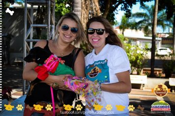 Foto - Primeira Cãominhada