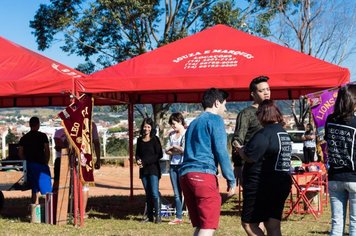 Foto - Festival de Pipas