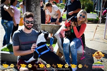 Foto - Primeira Cãominhada