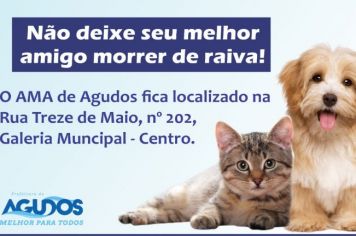 Ambulatório de Animais de Agudos promove agendamento para vacinação antirrábica