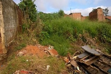 SECRETARIA DE SAÚDE ALERTA PARA LIMPEZA EM TERRENOS BALDIOS