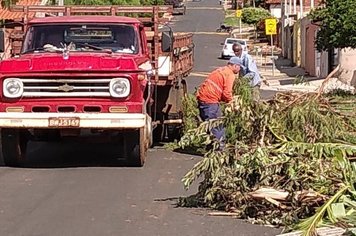 Prefeitura de Agudos muda cronograma de coleta de galhos em setembro para receber Projeto Cidade Limpa 