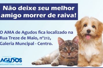 AMA de Agudos oferece vacina antirrábica durante todo ano