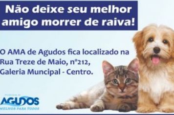 AMA de Agudos alerta donos de animais para que não percam vacinas agendadas para essa semana