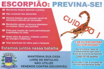 Vigilância Sanitária de Agudos reforça importância de prevenção contra escorpiões