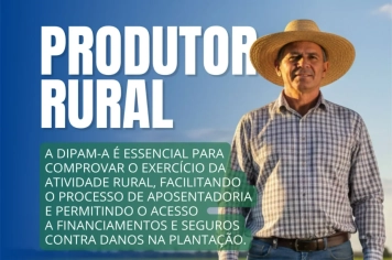 Declaração de Atividades Rurais (DIPAM-A) 