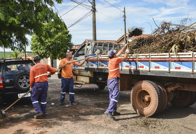 Cronograma de recolhimento de galhos e podas do mês de agosto começa no dia 3