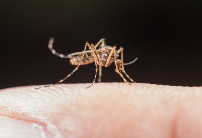 Agudos promove a Semana da Limpeza a partir de 21 de novembro